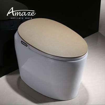 Amaze Modern Ceramics Smart Japanese Intelligent Toilet Automatic self cleaning public toilet